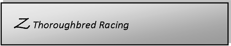 Text Box: Z Thoroughbred Racing 