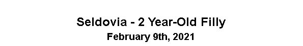 Text Box: Seldovia - 2 Year-old Filly
February 9th, 2021